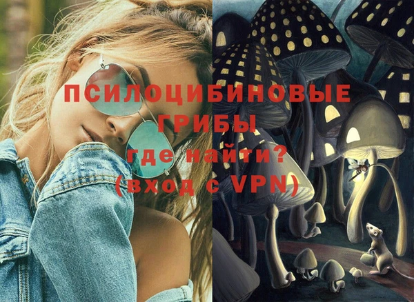 дживик Богданович