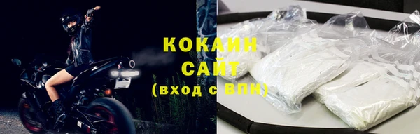 дживик Богданович