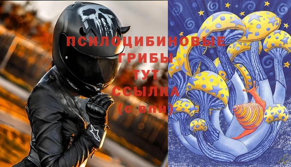 дживик Богданович